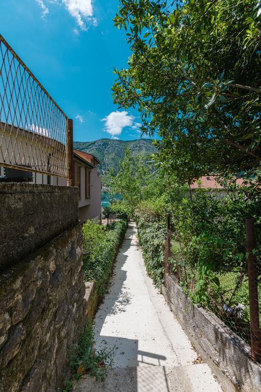 Apartments 26 Kotor Exteriér fotografie